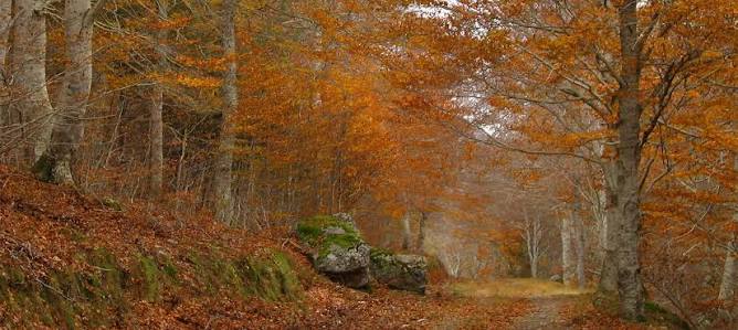 parque moncayo