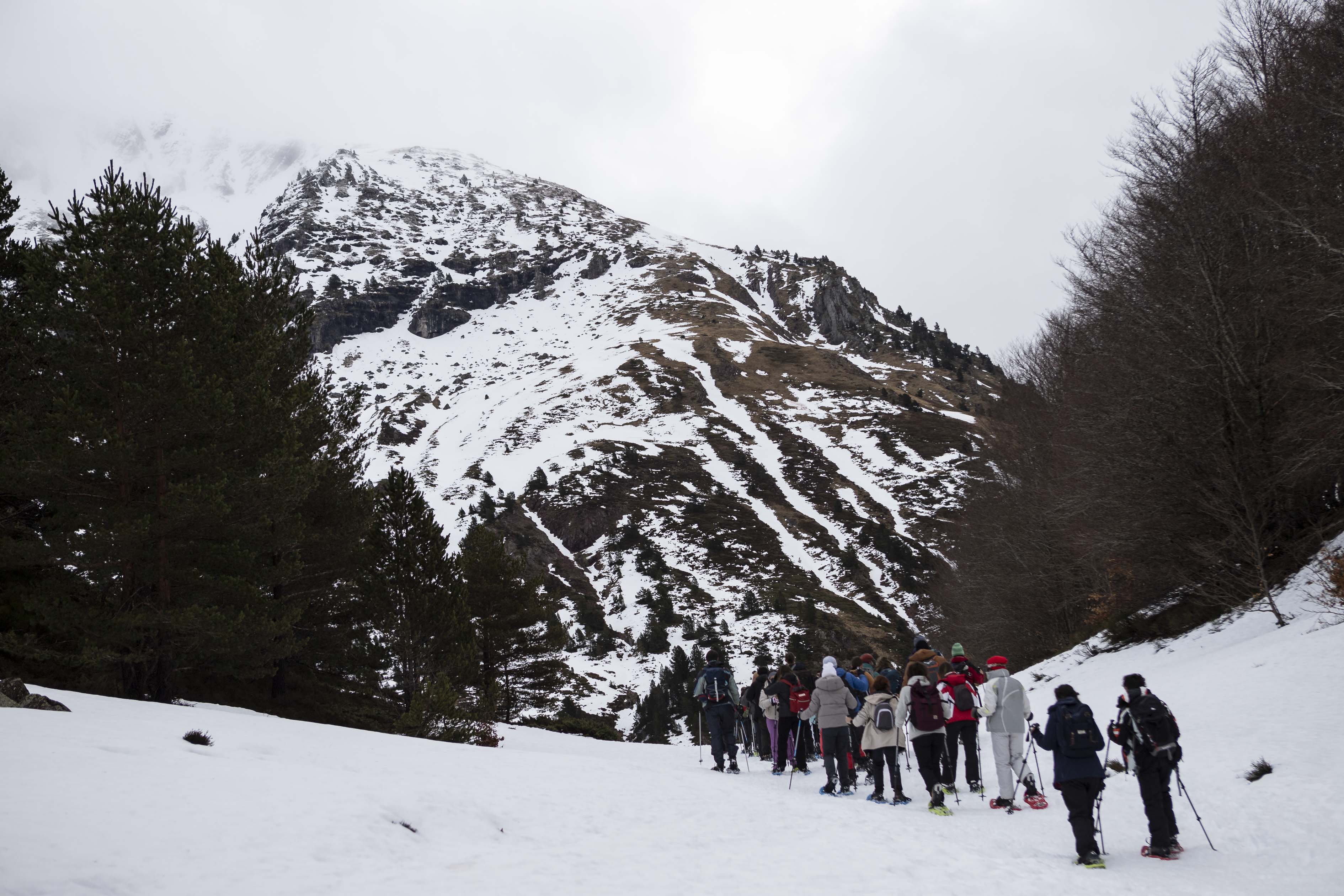 Nieve